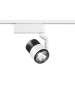Duoline Μονό Σποτ με Ενσωματωμένο LED και Ρυθμιζόμενο Λευκό Φως σε Λευκό Χρώμα Trio Lighting 78030131