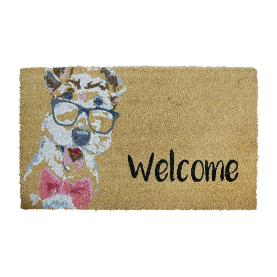ΠΑΤΑΚΙ ΕΙΣΟΔΟΥ DOG GLASSES 45X75 San Lorentzo 18000262C