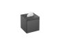 Sanco Tissue Dispensers Tissue Box Free standing | Wall mounted (AISI 304) Σκούρο γραφίτη 00106-122