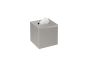 Sanco Tissue Dispensers Tissue Box Free standing | Wall mounted (AISI 304) Σκούρο γραφίτη 00106-122