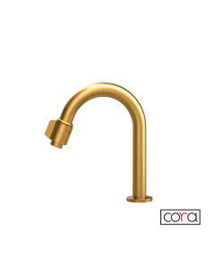 Ρουξούνι Φίλτρου (με διακόπτη) CORA Brushed Gold  13504-201