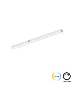 Linear Antiglare για Λευκή Μαγνητική Ράγα L300 Slim Magnetic Viokef 4288501