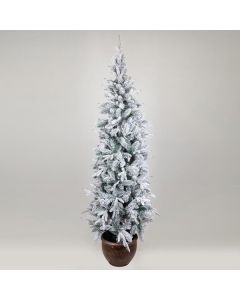 ΔΕΝΤΡΟ ΕΛΑΤΟ ΧΙΟΝΙΣΜΕΝΟ, ΣΤΟΚΧΟΛΜΗ, ΜΕ ΓΛΑΣΤΡΑΚΙ, 240cm Eurolamp 600-30649