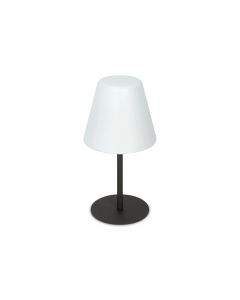 Επιτραπέζιο Φωτιστικό ARCADIA TL1 Ανθρακί Ideal Lux 298597