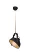 HL-211S-1P24 OMAHA PENDANT HOMELIGHTING 77-2937