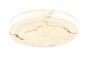 Φωτιστικό οροφής, LED 48W Alabaster & ritine, 5280 lm, 3CCT by switch on base D:60x6cm 42053-B