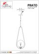 SE 110-20 PRATO PENDANT BRASS GOLD Φ20 Γ4 HOMELIGHTING 77-4488