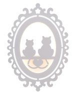 WLC 164 WH # ΑΠΛΙΚΑ 2/Φ CAT 6000K/3000K ARlight 0304154