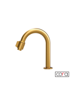 Ρουξούνι Φίλτρου (με διακόπτη) CORA Brushed Gold  13504-201