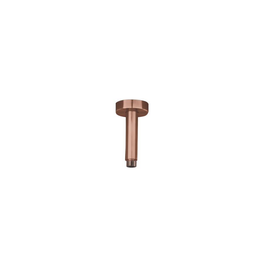 Βραχίονας Οροφής Στρογγυλός 10εκ. AISI316 Inox PVD Rose-Gold N11000-811