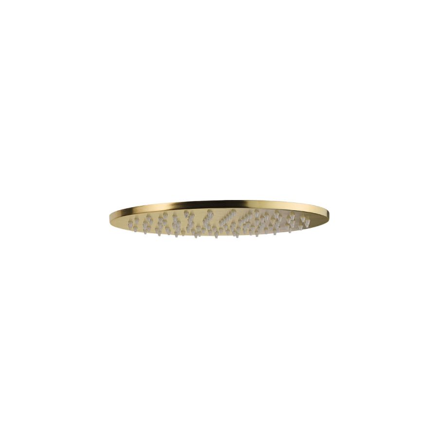Κεφαλή Ντουζ Φ30 χωρίς μπράτσο Φ25, Vicario Brushed Gold 800597-201