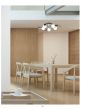 KQ 2626/5 SHEVY CEILING LAMP Δ3 HOMELIGHTING 77-8088