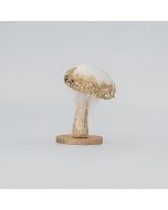 ΒΕΛΟΥΔΙΝΟ ΜΑΝΙΤΑΡΙ, ΛΕΥΚΟ, 7x13cm Eurolamp 600-45580
