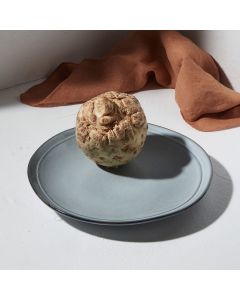 Πιάτο Ρηχό 27cm Stoneware Estia Home Art Deline Pacific 07-24550