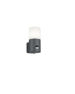 Απλίκα Επιτοίχια με Αισθητήρα IP44 1xE27 Ανθρακί Trio Lighting Hoosic 222260142