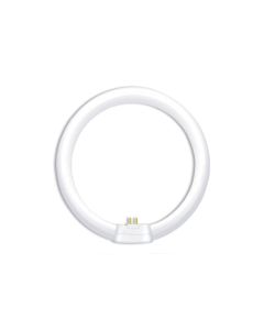 ΦΘΟΡΙΟΥ ΚΥΚΛΙΚΗ  40W  4000Κ ACA 348010040E