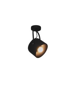 HL-3599-1L ARCHIE BLACK CEILING HOMELIGHTING 77-4235