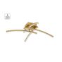 SE LED 65-4 XENA CEILING BRUSHED GOLD HOMELIGHTING 77-8172