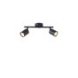 ΣΠΟΤ ΜΕΤΑΛΛΟ 2ΦΩΤΟ 2XGU10 Max 7W 300X130mm ΜΑΥΡΟ ARTE ILLUMINA OLYMP Eurolamp 145-25221