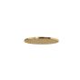 Κεφαλή Ντουζ Φ30 χωρίς μπράτσο Φ25, Φ22,5 εκ. Brushed Gold RE50000-201
