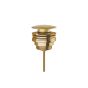 Βαλβίδα Νιπτήρα clic-clac AISI316 Inox PVD Brushed Gold N0338-211