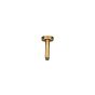 Βραχίονας Οροφής Στρογγυλός 10εκ. AISI316 Inox PVD Brushed Gold N11000-211