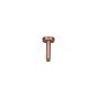 Βραχίονας Οροφής Στρογγυλός 10εκ. AISI316 Inox PVD Rose-Gold N11000-811