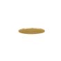 Κεφαλή Ντουζ Φ25 χωρίς μπράτσο, AISI316 Inox PVD Brushed Gold N50025-211