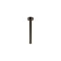 Βραχίονας Οροφής Στρογγυλός 20εκ. Vicario Black Chrome 800087-405