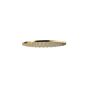 Κεφαλή Ντουζ Φ30 χωρίς μπράτσο Φ25, Vicario Brushed Gold 800597-201