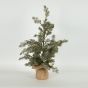 ΔΕΝΤΡΑΚΙ ΜΕ ΛΕΥΚΑ BERRIES, 60cm Eurolamp 600-46373