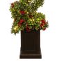 ΦΩΤΙΖΟΜΕΝΟ ΣΠΕΙΡΟΕΔΕΣ ΔΕΝΤΡΟ, PE, 150cm Eurolamp 600-48327