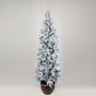 ΔΕΝΤΡΟ ΕΛΑΤΟ ΧΙΟΝΙΣΜΕΝΟ, ΣΤΟΚΧΟΛΜΗ, ΜΕ ΓΛΑΣΤΡΑΚΙ, 240cm Eurolamp 600-30649
