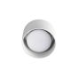 Φωτιστικό Οροφής SPIKE PL1 ROUND Χρώμιο Ideal Lux 310886