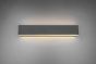 Φωτιστικό Τοίχου Ανθρακί 47xH8cm LED 2x9w 3000K 2x900lm Switch Dimmer Trio Lighting Concha 225174742
