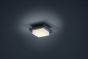 Πλαφονιέρα Ανθρακί 14xH14cm Εξ.Χώρου IP54 LED 3,5w 3000K 330lm Trio Lighting Hondo 228960142