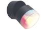 Φωτιστικό Επιτοίχιο Κινητό 90° IP44 9,5w 690lm Diming 2700-6500Κ-RGB 126° Ø94x115mm Dark Grey Χυτό Αλουμίνιο Lutec Dropsi 501090118