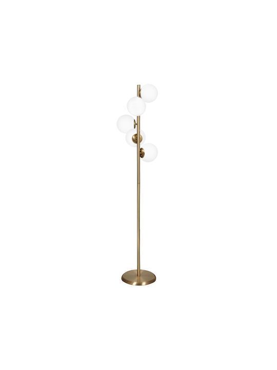 LUNA FLOOR 5/L GOLD MAT-WHITE ΟΡΘΟΣΤΑΤΗΣ Heronia 01-0424
