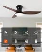 SE LED F100 WINDY BLACK-BROWN FAN 30W SMART WITH CONTROL 100x100x50cm 3000k-6500k 85-265V 2 Y HOMELIGHTING 77-50632