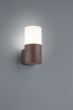 Απλίκα Επιτοίχια IP44 1xE27 χρώμα Σκουριάς Trio Lighting Hoosic 222260124