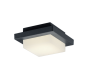 Πλαφονιέρα Ανθρακί 14xH14cm Εξ.Χώρου IP54 LED 3,5w 3000K 330lm Trio Lighting Hondo 228960142