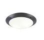 Πλαφονιέρα Οροφής Μαύρη 33xH9cm Εξ.Χώρου IP54  2xE27 Trio Lighting Camaro R60502042