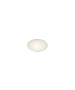 WH250-1 PINAR GLASS CEILING B3 HOMELIGHTING 77-3647