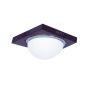3081F Φ24 TECO COLLECTION, WOOD-CHROME CEILING B3 HOMELIGHTING 77-1835