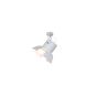 HL-3600-1XXL-C ARLEN COPPER & BLACK CEILING HOMELIGHTING 77-4293