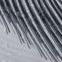 Κουρτίνα Μπάνιου Υφασμάτινη L180xH200 Sealskin Birds Black 800141
