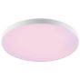 Φωτιστικό Οροφής D45cm LED Panel 2700-6500K 2490lm RGBW Εφαρμογή-Τηλεχειριστήριο Eglo Turcona 900055
