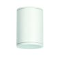 E27 PAR30  ROUND CEILING LUMINAIRE 230V AC MATT WHITE IP65 MAX.35W ACA LG2302E27W